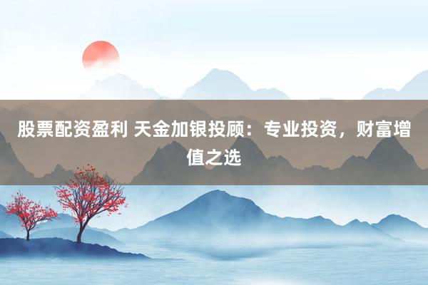 股票配资盈利 天金加银投顾：专业投资，财富增值之选