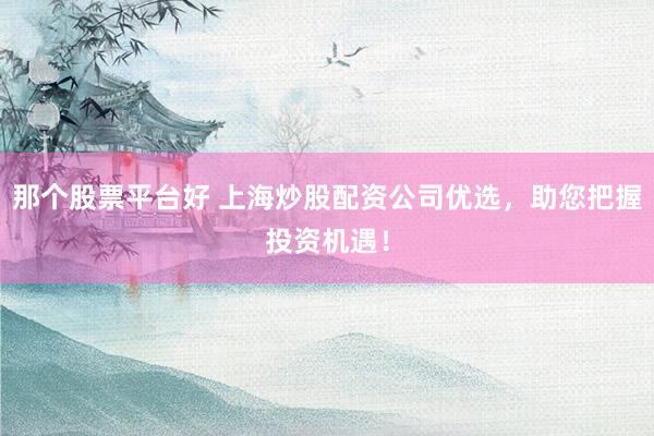 那个股票平台好 上海炒股配资公司优选，助您把握投资机遇！