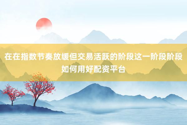 在在指数节奏放缓但交易活跃的阶段这一阶段阶段如何用好配资平台